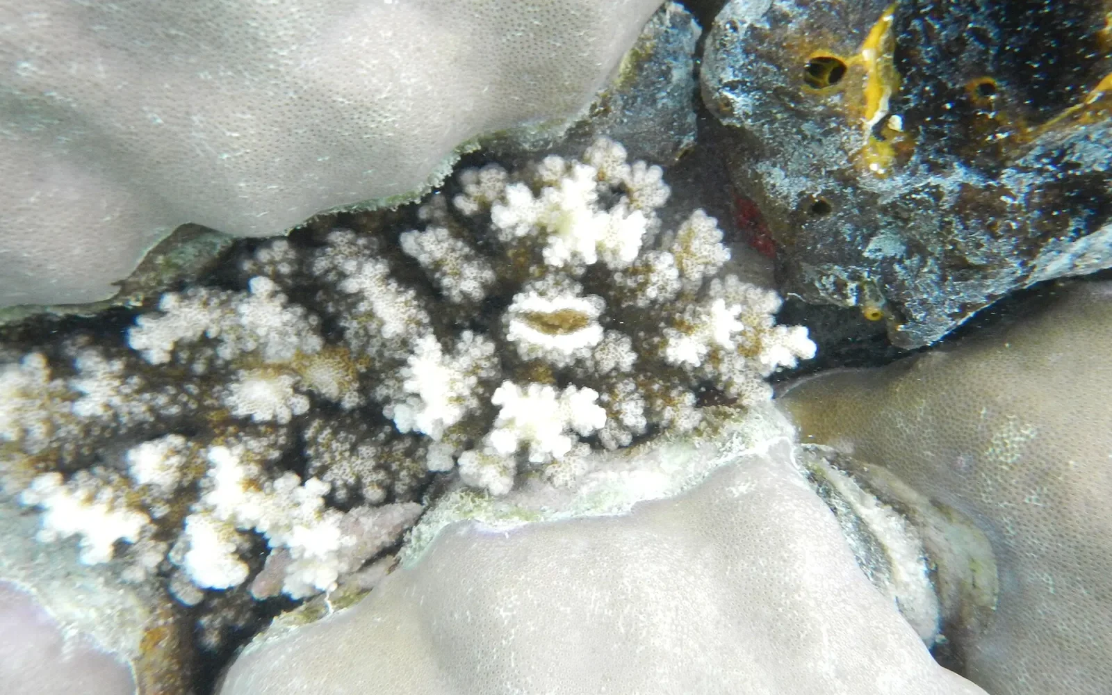Raja Ampat island seascape, West Papua